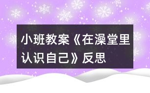 小班教案《在澡堂里認(rèn)識(shí)自己》反思