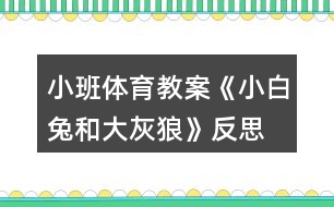 小班體育教案《小白兔和大灰狼》反思