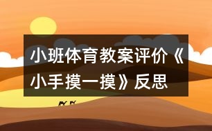 小班體育教案評價(jià)《小手摸一摸》反思