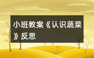 小班教案《認(rèn)識蔬菜》反思