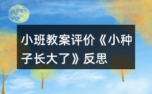 小班教案評(píng)價(jià)《小種子長大了》反思