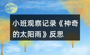 小班觀察記錄《神奇的太陽(yáng)雨》反思