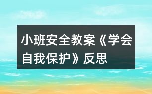 小班安全教案《學(xué)會自我保護(hù)》反思