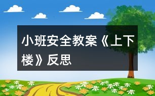 小班安全教案《上下樓》反思