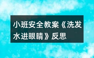 小班安全教案《洗發(fā)水進眼睛》反思