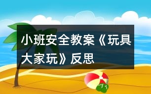 小班安全教案《玩具大家玩》反思