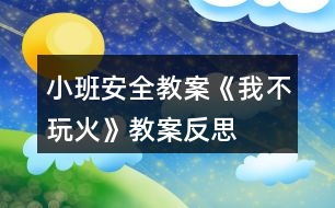 小班安全教案《我不玩火》教案反思