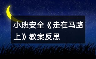 小班安全《走在馬路上》教案反思