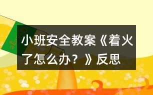 小班安全教案《著火了怎么辦？》反思