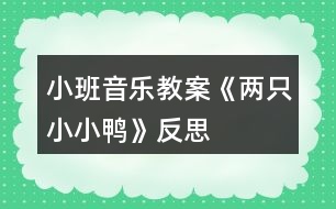 小班音樂教案《兩只小小鴨》反思