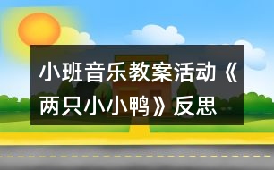 小班音樂教案活動(dòng)《兩只小小鴨》反思