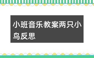 小班音樂(lè)教案兩只小鳥反思