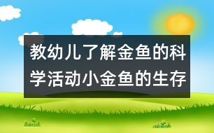 教幼兒了解金魚的科學活動：小金魚的生存環(huán)境（原創(chuàng)）