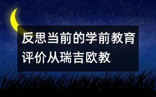 反思當(dāng)前的學(xué)前教育評(píng)價(jià)——從瑞吉?dú)W教育體系的記錄說(shuō)起