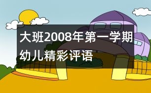 大班2008年第一學(xué)期幼兒精彩評語