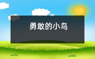 勇敢的小鳥(niǎo)