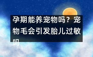 孕期能養(yǎng)寵物嗎？寵物毛會(huì)引發(fā)胎兒過(guò)敏嗎？