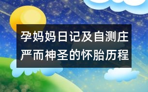 孕媽媽日記及自測：莊嚴(yán)而神圣的懷胎歷程