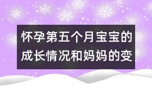 懷孕第五個月寶寶的成長情況和媽媽的變化