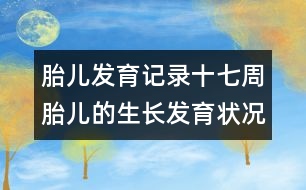 胎兒發(fā)育記錄：十七周胎兒的生長(zhǎng)發(fā)育狀況