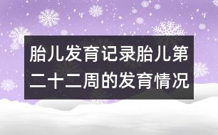 胎兒發(fā)育記錄：胎兒第二十二周的發(fā)育情況