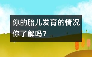 你的胎兒發(fā)育的情況你了解嗎？