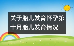 關(guān)于胎兒發(fā)育：懷孕第十月胎兒發(fā)育情況