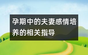 孕期中的夫妻感情培養(yǎng)的相關(guān)指導(dǎo)