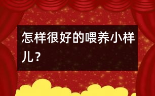 怎樣很好的喂養(yǎng)小樣兒？