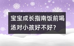 寶寶成長(zhǎng)指南：飯前喝湯對(duì)小孩好不好？