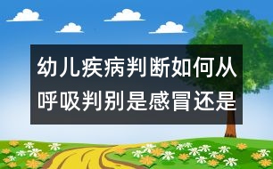 幼兒疾病判斷：如何從呼吸判別是感冒還是肺炎