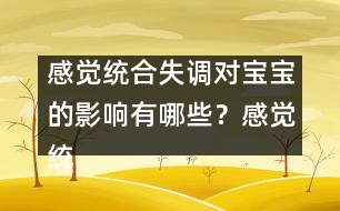 感覺統(tǒng)合失調(diào)對(duì)寶寶的影響有哪些？感覺統(tǒng)合很重要嗎 ？