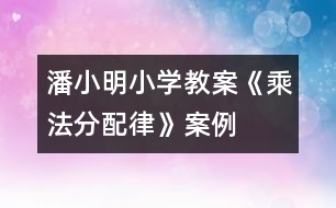 潘小明小學教案《乘法分配律》案例