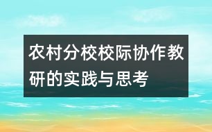 農(nóng)村分校校際協(xié)作教研的實(shí)踐與思考