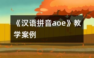 《漢語拼音a、o、e》教學(xué)案例