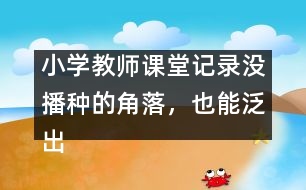 小學教師課堂記錄：沒播種的角落，也能泛出綠意