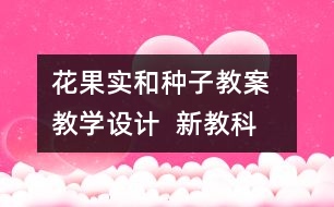 花、果實和種子教案  教學設計  新教科版四五年級下冊科學教案