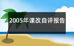 2005年課改自評報(bào)告