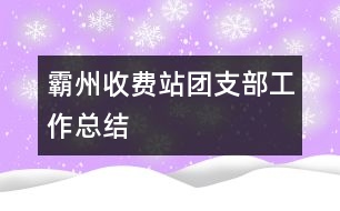 霸州收費站團支部工作總結