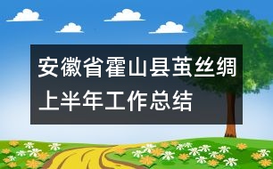 安徽省霍山縣繭絲綢上半年工作總結(jié)