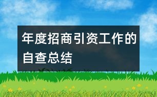 年度招商引資工作的自查總結