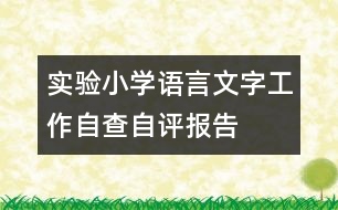 實驗小學(xué)語言文字工作自查自評報告