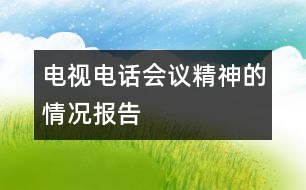 電視電話會(huì)議精神的情況報(bào)告