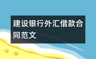 建設銀行外匯借款合同范文