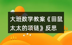 大班數(shù)學(xué)教案《田鼠太太的項(xiàng)鏈》反思