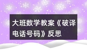 大班數(shù)學(xué)教案《破譯電話號(hào)碼》反思