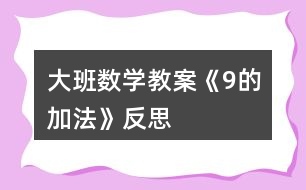 大班數(shù)學(xué)教案《9的加法》反思