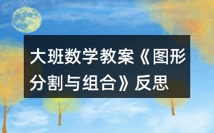 大班數學教案《圖形分割與組合》反思