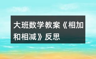 大班數(shù)學教案《相加和相減》反思