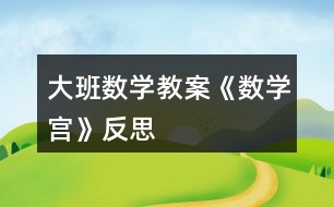 大班數(shù)學(xué)教案《數(shù)學(xué)宮》反思